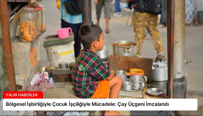 Bölgesel İşbirliğiyle Çocuk İşçiliğiyle Mücadele: Çay Üçgeni İmzalandı