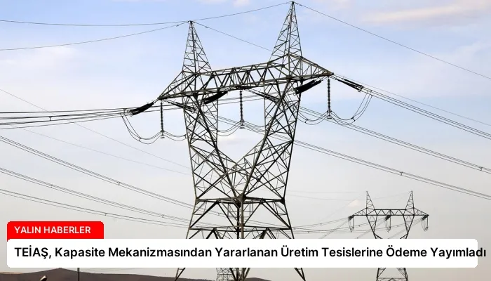 TEİAŞ, Kapasite Mekanizmasından Yararlanan Üretim Tesislerine Ödeme Yayımladı