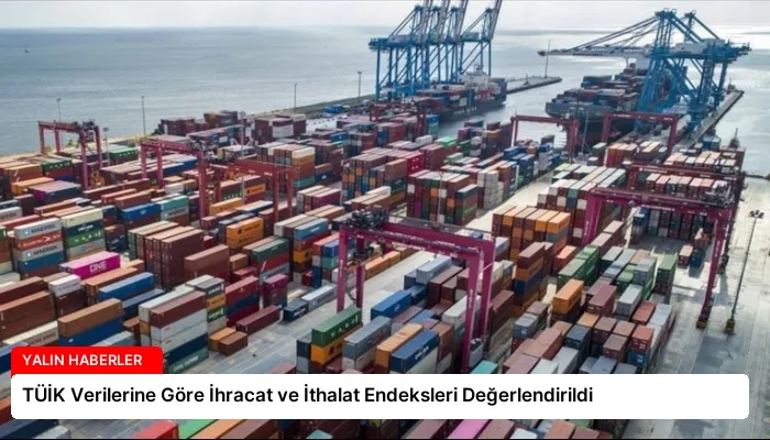 TÜİK Verilerine Göre İhracat ve İthalat Endeksleri Değerlendirildi
