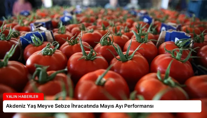 Akdeniz Yaş Meyve Sebze İhracatında Mayıs Ayı Performansı