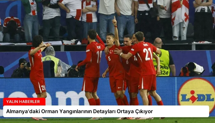 Almanya’daki Orman Yangınlarının Detayları Ortaya Çıkıyor