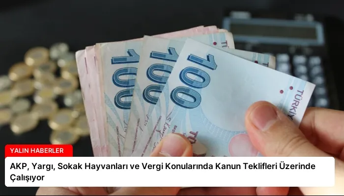 AKP, Yargı, Sokak Hayvanları ve Vergi Konularında Kanun Teklifleri Üzerinde Çalışıyor