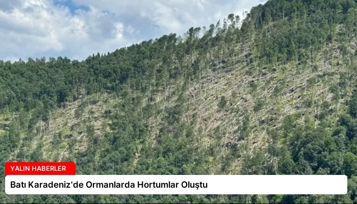 Batı Karadeniz’de Ormanlarda Hortumlar Oluştu