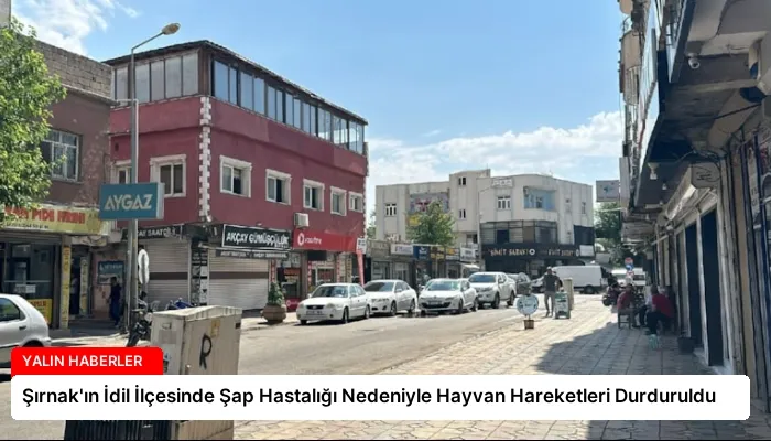 Şırnak’ın İdil İlçesinde Şap Hastalığı Nedeniyle Hayvan Hareketleri Durduruldu