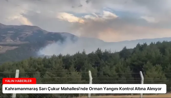 Kahramanmaraş Sarı Çukur Mahallesi’nde Orman Yangını Kontrol Altına Alınıyor