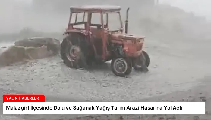 Malazgirt İlçesinde Dolu ve Sağanak Yağış Tarım Arazi Hasarına Yol Açtı