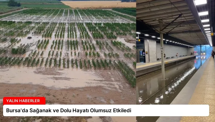 Bursa’da Sağanak ve Dolu Hayatı Olumsuz Etkiledi