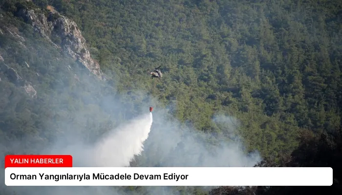 Orman Yangınlarıyla Mücadele Devam Ediyor
