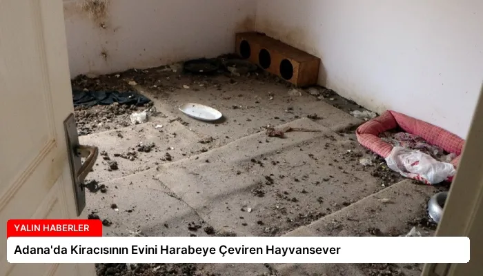 Adana’da Kiracısının Evini Harabeye Çeviren Hayvansever