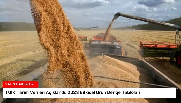 TÜİK Tarım Verileri Açıklandı: 2023 Bitkisel Ürün Denge Tabloları