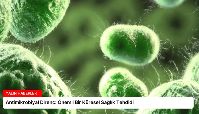 Antimikrobiyal Direnç: Önemli Bir Küresel Sağlık Tehdidi