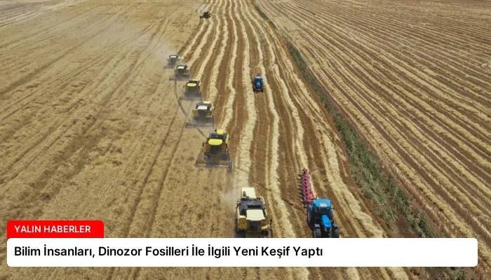 Bilim İnsanları, Dinozor Fosilleri İle İlgili Yeni Keşif Yaptı