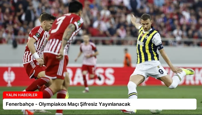 Fenerbahçe – Olympiakos Maçı Şifresiz Yayınlanacak