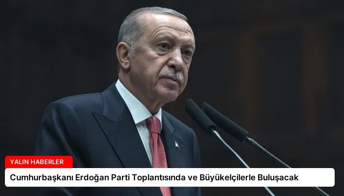 Cumhurbaşkanı Erdoğan Parti Toplantısında ve Büyükelçilerle Buluşacak