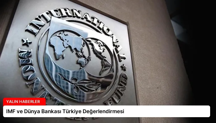 IMF ve Dünya Bankası Türkiye Değerlendirmesi