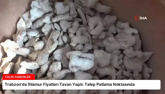 Trabzon’da İhlamur Fiyatları Tavan Yaptı: Talep Patlama Noktasında