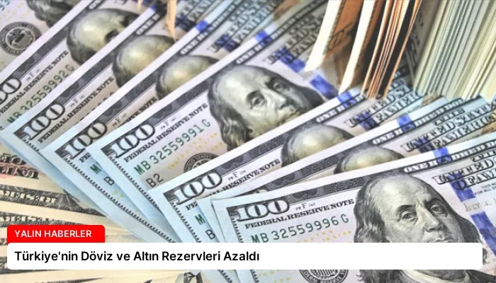Türkiye’nin Döviz ve Altın Rezervleri Azaldı
