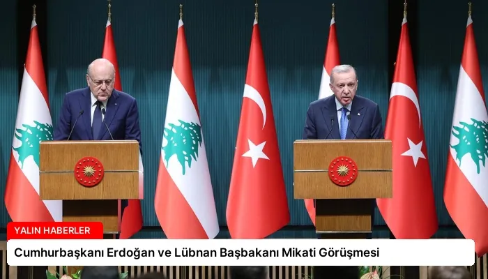 Cumhurbaşkanı Erdoğan ve Lübnan Başbakanı Mikati Görüşmesi