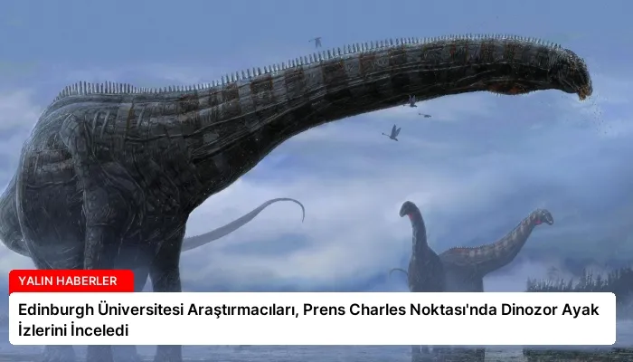 Edinburgh Üniversitesi Araştırmacıları, Prens Charles Noktası’nda Dinozor Ayak İzlerini İnceledi