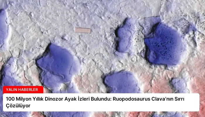 100 Milyon Yıllık Dinozor Ayak İzleri Bulundu: Ruopodosaurus Clava’nın Sırrı Çözülüyor