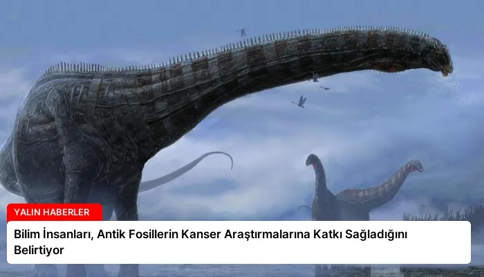 Bilim İnsanları, Antik Fosillerin Kanser Araştırmalarına Katkı Sağladığını Belirtiyor