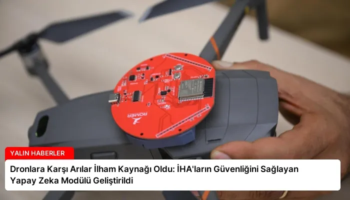 Dronlara Karşı Arılar İlham Kaynağı Oldu: İHA’ların Güvenliğini Sağlayan Yapay Zeka Modülü Geliştirildi