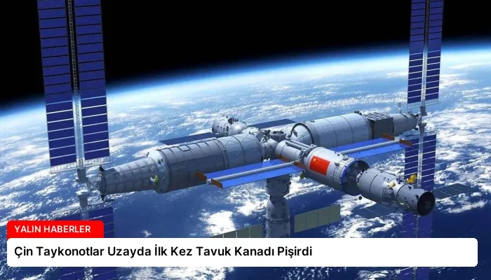 Çin Taykonotlar Uzayda İlk Kez Tavuk Kanadı Pişirdi