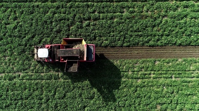 Mezra Ziraat’ten Doğu Anadolu Ekonomisine Büyük Ölçekli Üretim Hamlesi