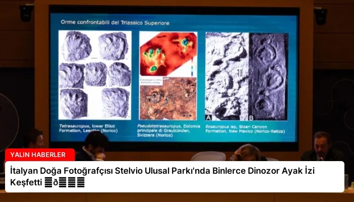 İtalyan Doğa Fotoğrafçısı Stelvio Ulusal Parkı’nda Binlerce Dinozor Ayak İzi Keşfetti ⏬👇