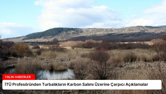 İTÜ Profesöründen Turbalıkların Karbon Salımı Üzerine Çarpıcı Açıklamalar