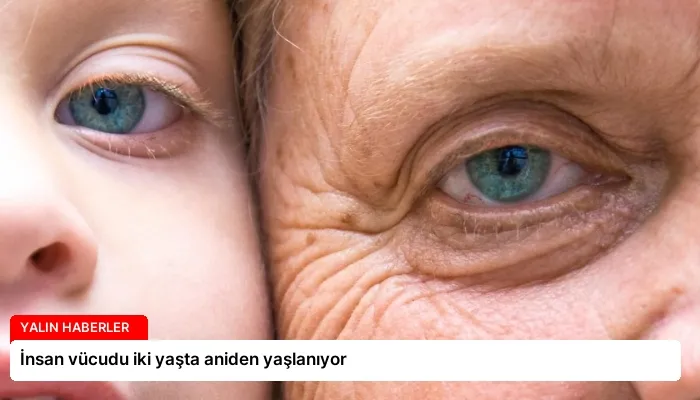 İnsan vücudu iki yaşta aniden yaşlanıyor