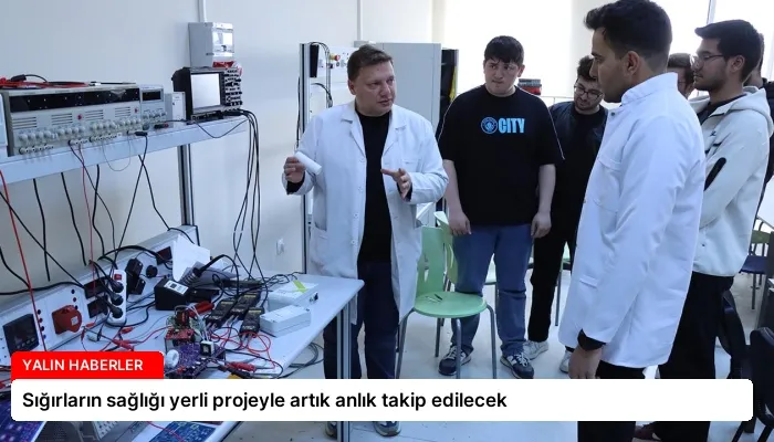 Sığırların sağlığı yerli projeyle artık anlık takip edilecek
