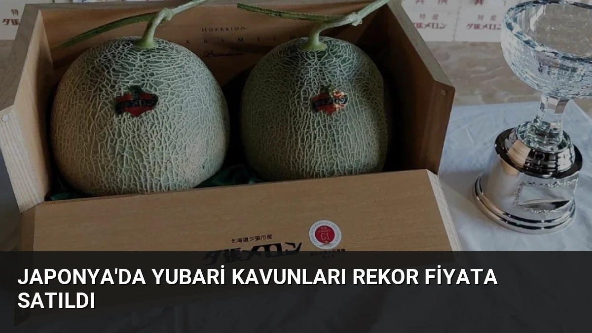 Japonya’da Yubari Kavunları Rekor Fiyata Satıldı