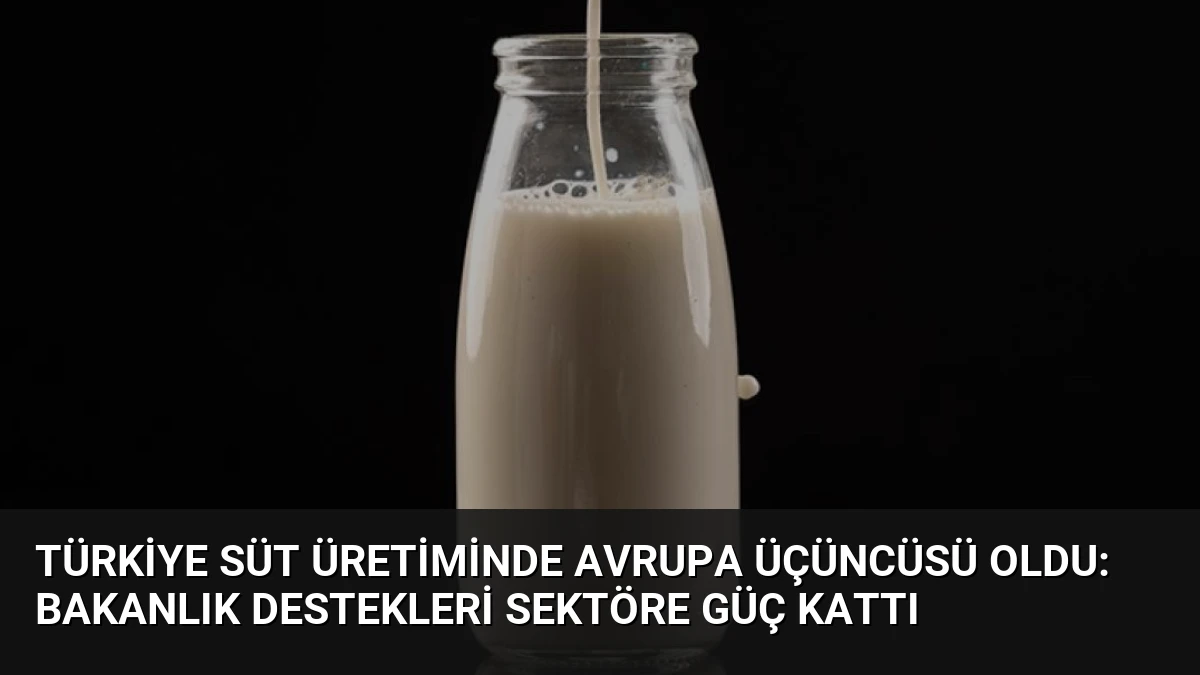 Türkiye Süt Üretiminde Avrupa Üçüncüsü Oldu: Bakanlık Destekleri Sektöre Güç Kattı
