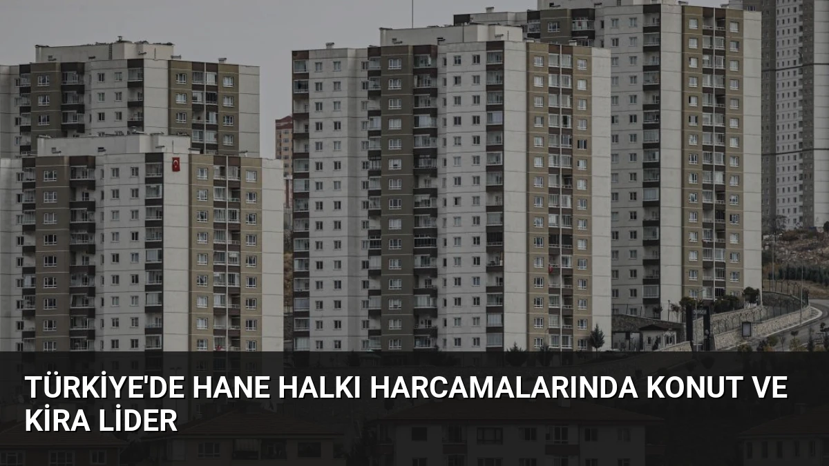 Türkiye’de Hane Halkı Harcamalarında Konut ve Kira Lider
