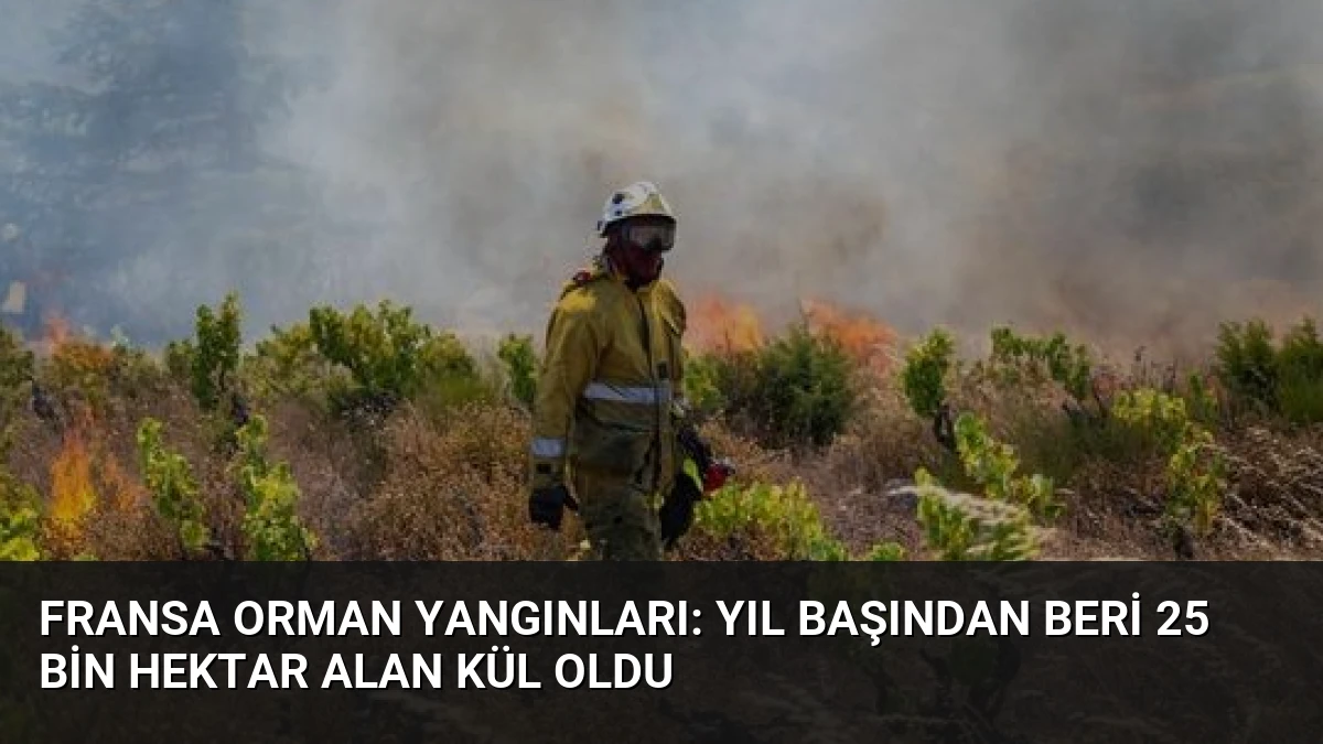 Fransa Orman Yangınları: Yıl Başından Beri 25 Bin Hektar Alan Kül Oldu