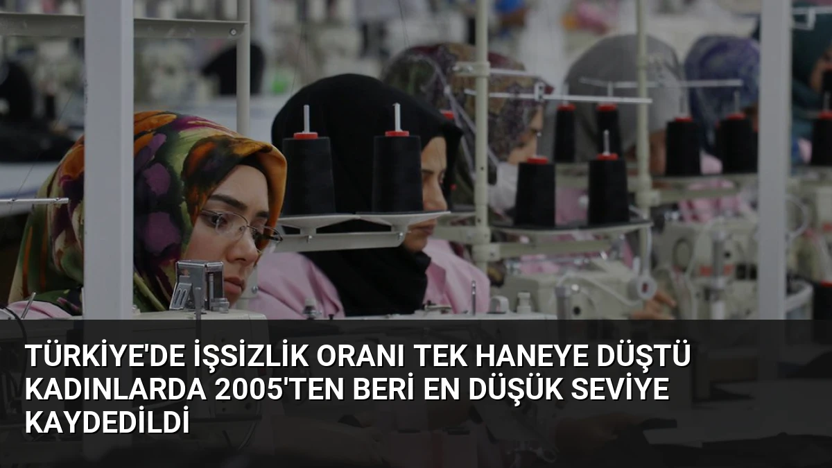 Türkiye’de İşsizlik Oranı Tek Haneye Düştü Kadınlarda 2005’ten Beri En Düşük Seviye Kaydedildi