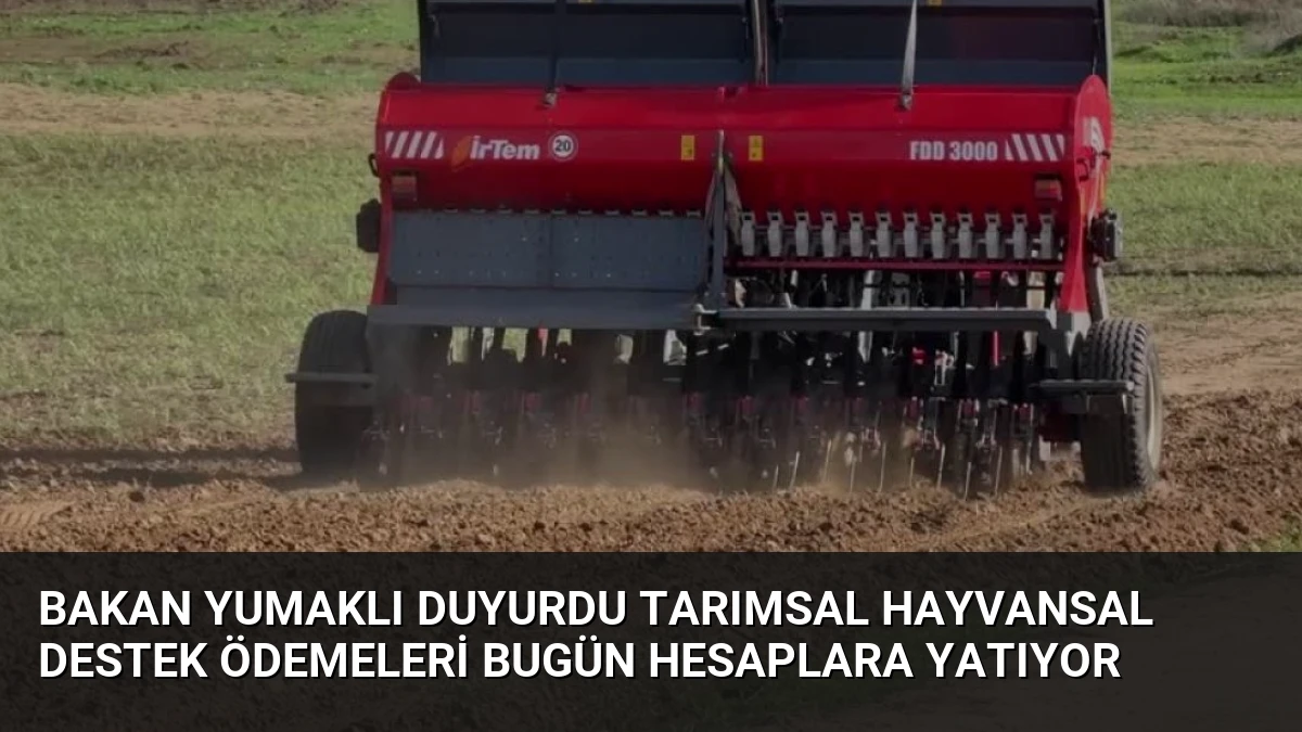 Bakan Yumaklı Duyurdu Tarımsal Hayvansal Destek Ödemeleri Bugün Hesaplara Yatıyor