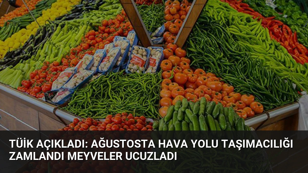 TÜİK Açıkladı: Ağustosta Hava Yolu Taşımacılığı Zamlandı Meyveler Ucuzladı