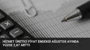 Hizmet Üretici Fiyat Endeksi Ağustos Ayında Yüzde 2,87 Arttı