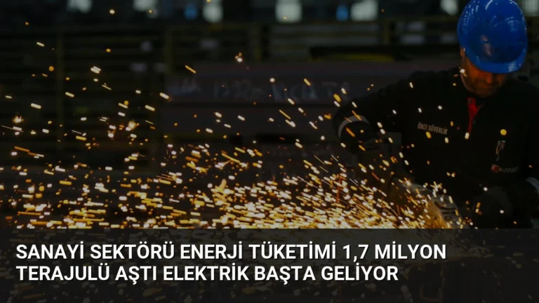 Sanayi Sektörü Enerji Tüketimi 1,7 Milyon Terajulü Aştı Elektrik Başta Geliyor