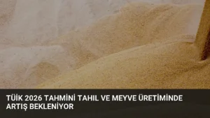 TÜİK 2026 Tahmini Tahıl ve Meyve Üretiminde Artış Bekleniyor