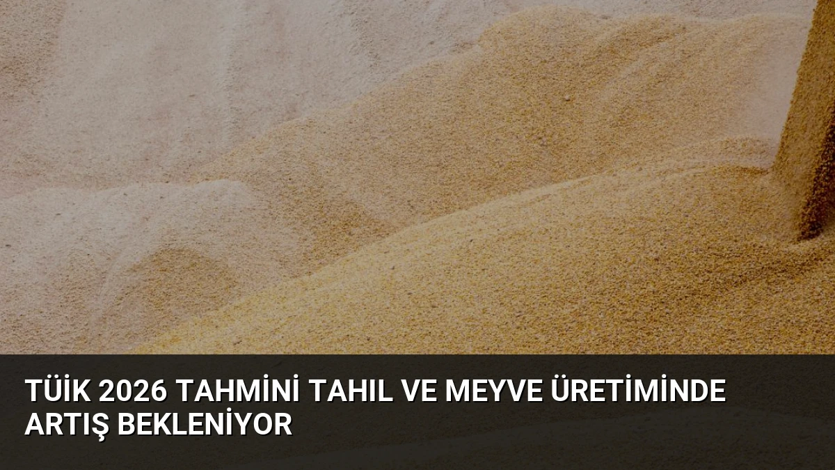 TÜİK 2026 Tahmini Tahıl ve Meyve Üretiminde Artış Bekleniyor